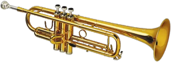 Trumpet Png Free Download 47 Images We Should Call Meme Trumpet Png