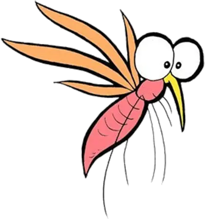 Mosquito Insect Cartoon A Mosquito Png Download 569500 Mosquito Png Cartoon Mosquito Transparent Background