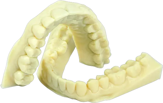 Daylight Precisionhightensileteeth Beets Limited Plastic Png Teeth Png