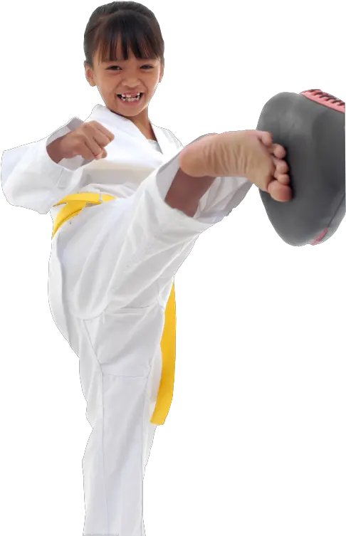 Lil Dragons Classes Macomb Karate For Children Png Karate Png