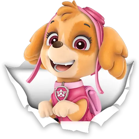 Download Free Png Skye Paw Patrol Skye Paw Patrol Png Paw Patrol Png