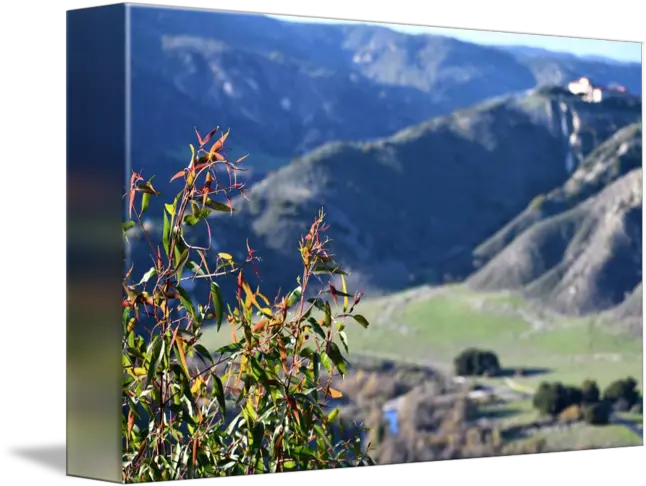 Rolling Hills Green Grass And Trees In California By Justin Bradley Hill Station Png Grass Hill Png