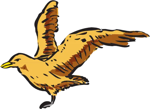 Flying Bird Side View Art Clip Vector Bird Side View Png Flying Bird Png