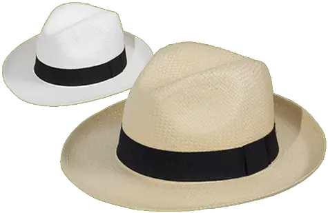 Unisex Hats Wallabe Costume Hat Png Fedora Hat Png