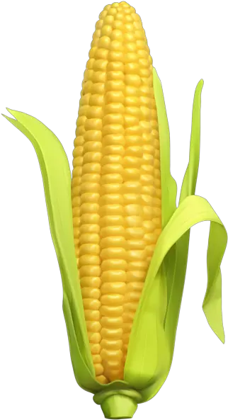 Corn Background Transparent Png Corn Transparent Background Clipart Corn Transparent Background