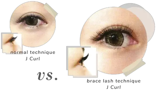 Brace Lashes Néw Lounge Ph Eye Shadow Png Lashes Png