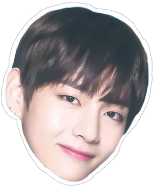 Library Of Pngs Bts Taeyoung Png Files V Bts Face Png Kim Taehyung Png