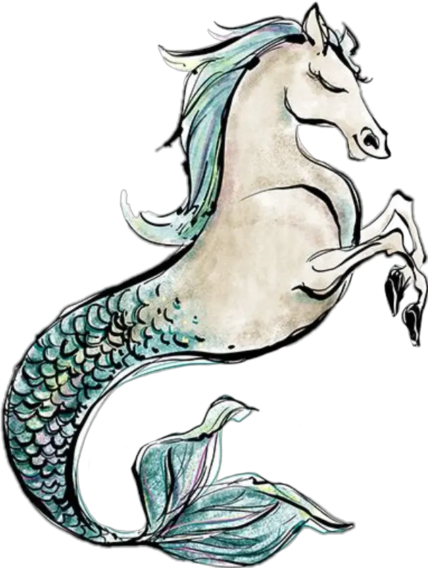 Watercolor Seahorse Mermaid Merman Horse Clipart Scales Mermaid Horse Png Mermaid Scales Png