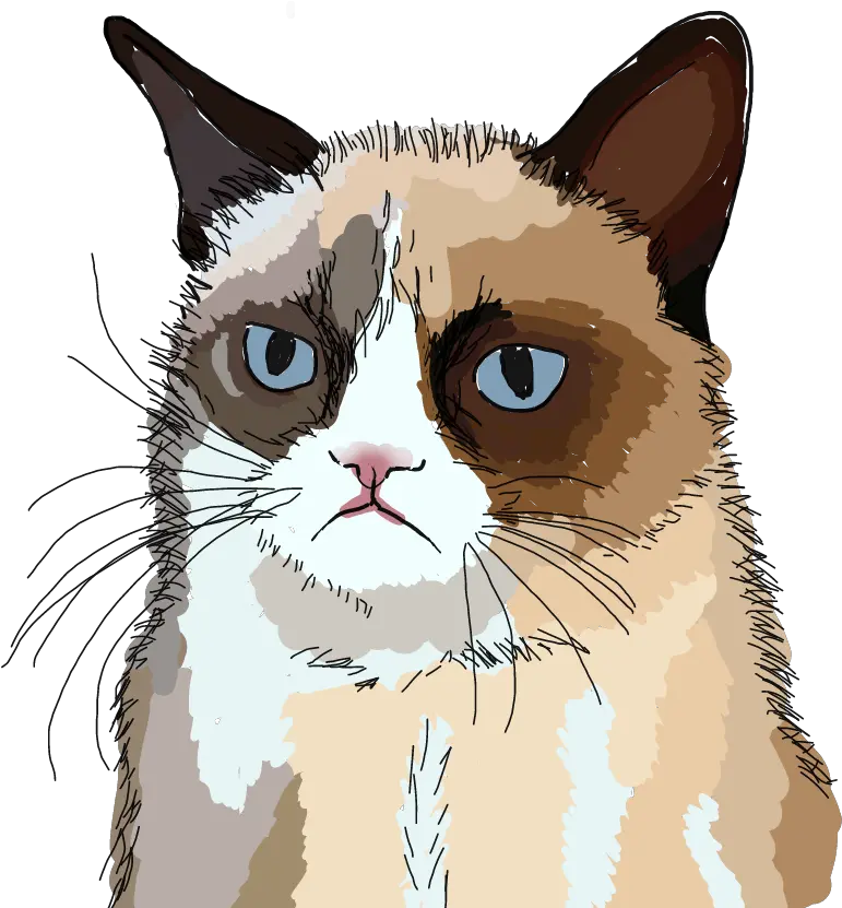 Freetoedit Grumpy Cat Sticker By Creepy Esther Grumpy Cat Sticker Png Grumpy Cat Png