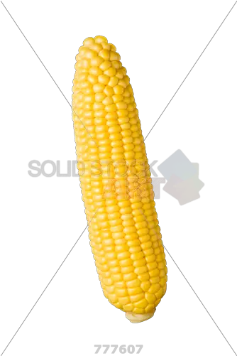 Stock Photo Of Peeled Yellow Corn Cob Corn On The Cob Gun Png Corn Cob Png