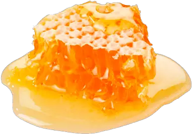 Honey Transparent Png Images Stickpng Honey Hd Png Honey Transparent