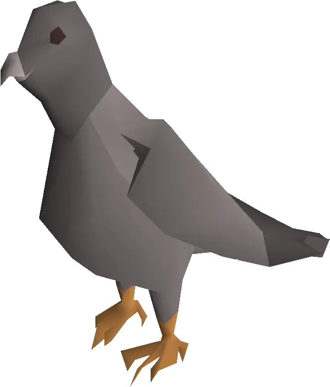 Pigeon Png Pic Portable Network Graphics Pigeon Png