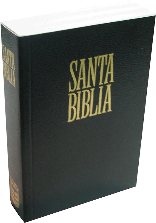 Sbt Santa Biblia Pequeña De Bolsillo Santa Biblia Png Biblia Png