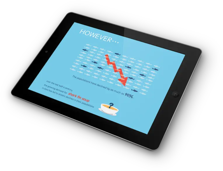 Shark Fin Free Information Pamphlet U0026 App U2014 V C Vincci Chan Graphic Designing In Tablet Png Shark Fin Png