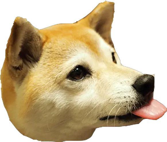 Dog Head Png Picture Dog Head Png Shiba Inu Png