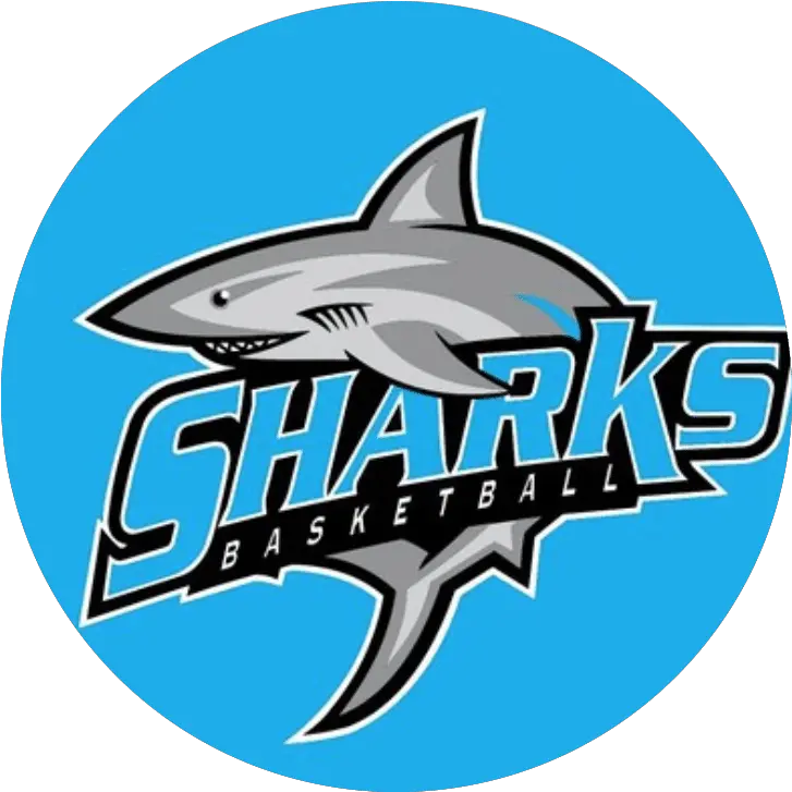 Program Preview Sharks Basketball Prep Hoops Png