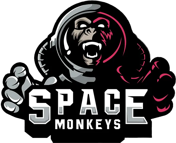 Space Monkeys Space Monkeys Png Monkey Logo