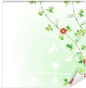 Climbing Vines Wall Mural U2022 Pixers We Live To Change Floral Png Wall Vines Png