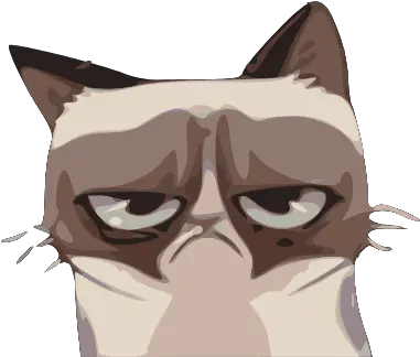 Gtsport Decal Search Engine Grumpy Cat Cartoon Transparent Png Grumpy Cat Png