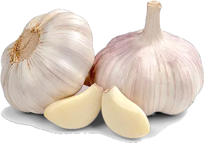 Garlic Png Bread Clipart Free Garlic Cloves Garlic Png