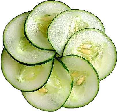 Cucumber Png Transparent Images Cucumber Slices Cucumber Transparent