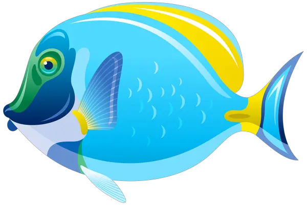 Fish Tank Png