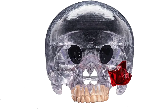 Download Hd 3d Printed Head Skull 3d Printing Png Skull Transparent