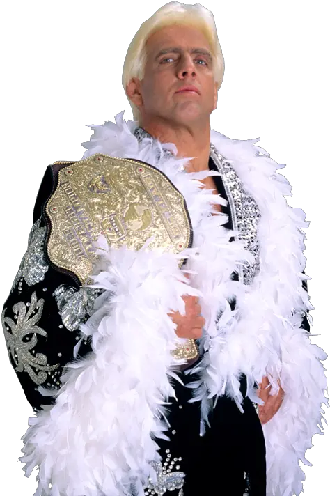 Download Free Png Ric Flair Ric Flair In Robe Flair Png