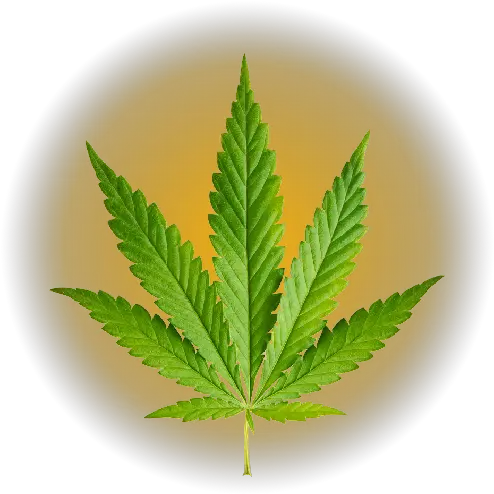 Weed Sign Png Images Collection For Free Download Llumaccat