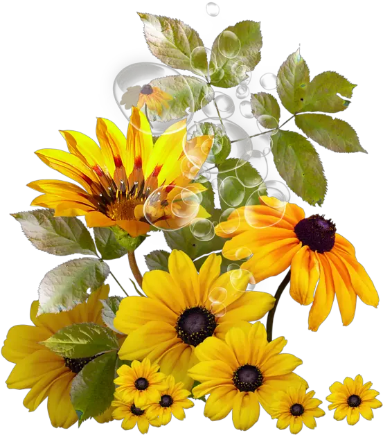 Fleurs Flores Flowers Bloemen Png Pinterest Corner Transparent Background Sunflower Png Sunflower Transparent Background