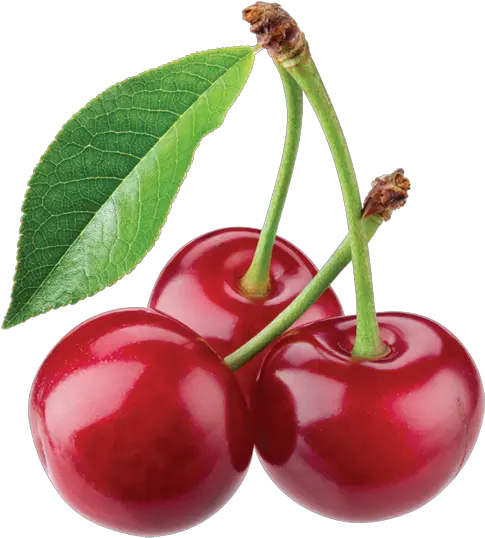 Cherries Png Image Download