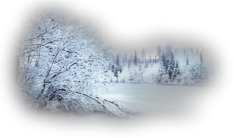 Winter Scene Background Png Free Winter Landscape Png Winter Background Png