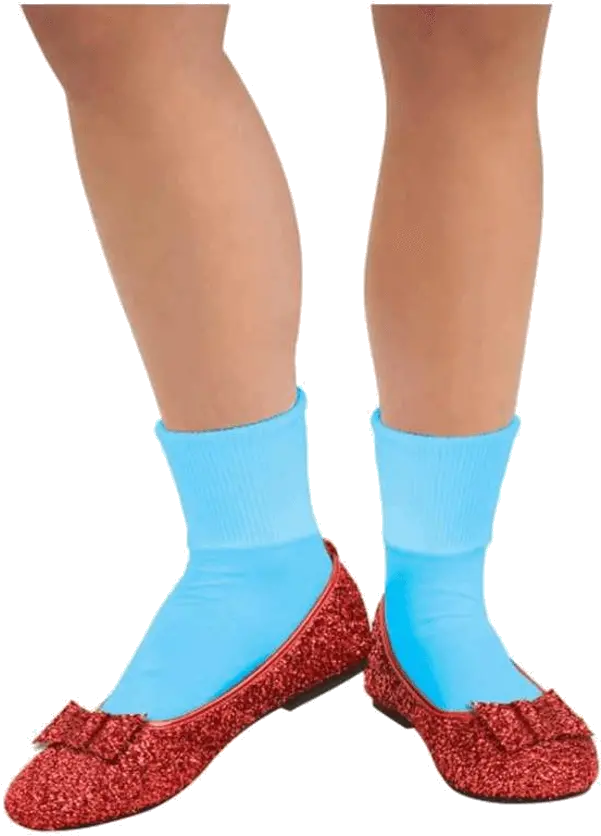 Wizard Of Oz Dorothy Basket Transparent Toto In A Basket Wizard Of Oz Png Ruby Slippers Png