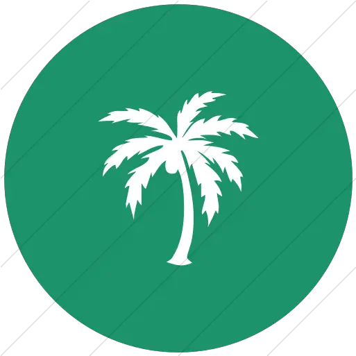 Iconsetc Flat Circle White Palm Tree Yellow Icon Png Palm Tree Icon