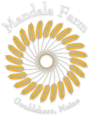 Mandala Farm U2013 Organic Farming In Costal Maine Stencil Sun Png Mandala Logo