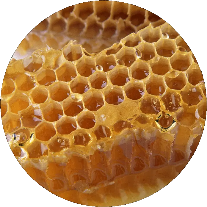 Download Ingredients Honey Honeycomb Png Image With No Honeycomb Honeycomb Png