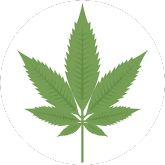 Download Indica Marijuana Leaf Full Size Png Image Pngkit Pot Leaf Marijuana Leaf Png