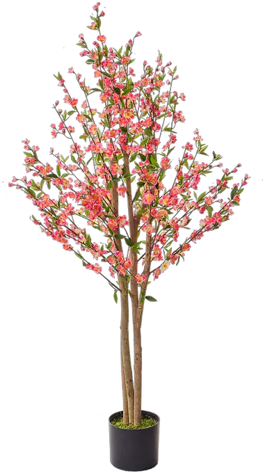 Cherry Blossom Mysite 4 Artificial Flower Png Cherry Blossom Tree Png