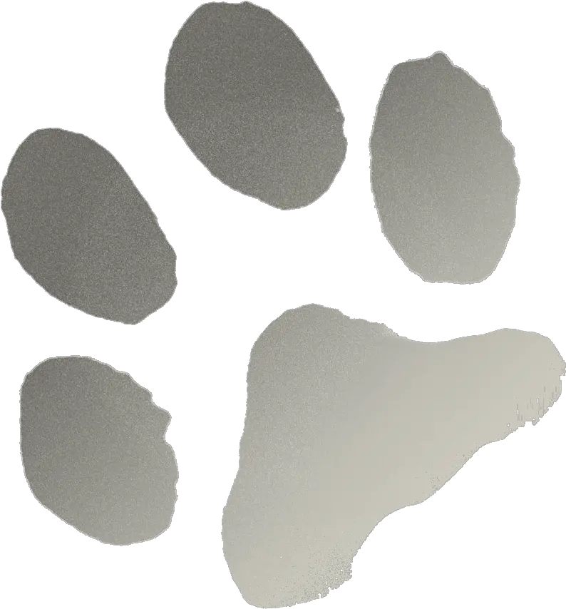 Paw Dot Png Fade Transparent