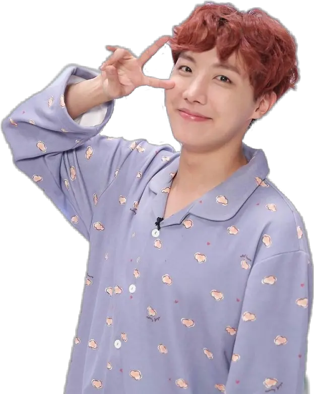 Hosoek Bts Jhope Sticker Jhope Png Jhope Transparent