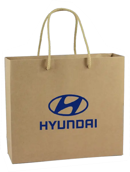 Gift Bag Pap053 Hyundai Brand Png Gift Bag Png