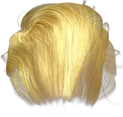 Get Something Trumped With Accurate Blond Png Trump Hair Png