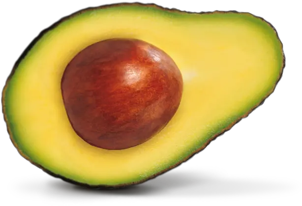 Avocado Png Transparent Images Avocado Png Avocado Transparent Background