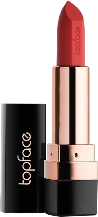 Sensitive Stylo Lipstick Top Face Lipstick 06 Png Lancome Fashion Icon Lipstick Swatch