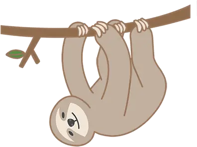 Sloth Smile Sticker Sloth Smile Happy Discover U0026 Share Gifs Transparent Animated Sloth Gif Png Sloth Icon