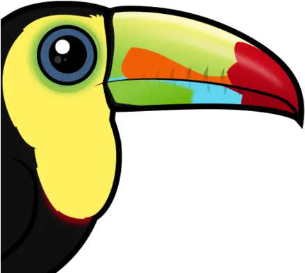 Cute Keel Billed Toucan By Birdorable U003c Meet The Birds Cute Keel Billed Toucan Png Toucan Png