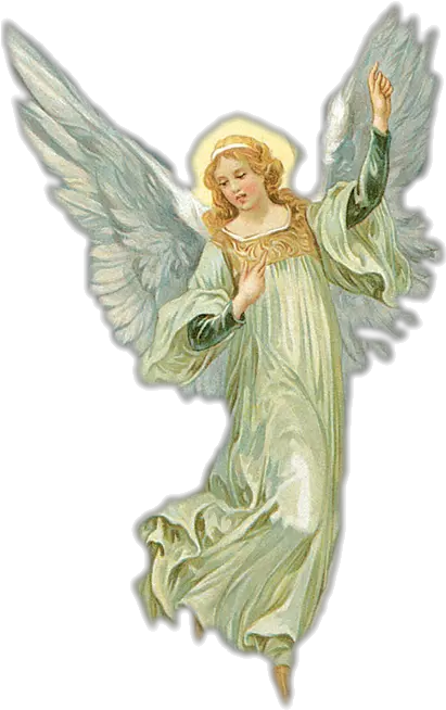 M Angel Png Angel Png