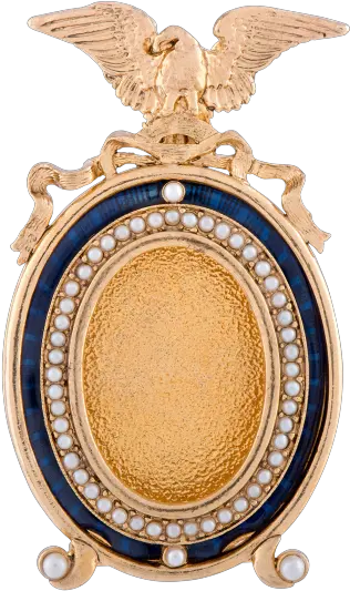 Ann Hand Frame With Eagle Oval Frame Png Eagle Oval Frame Png