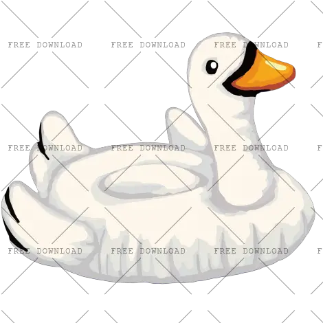 Duck Goose Swan Bird Png Image With Swans Swan Png