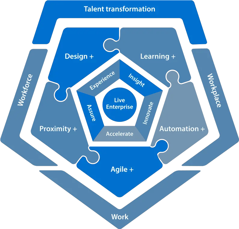 Infosys Consulting It Services Digital Transformation Language Png Rose Icon Society Pimple Saudagar